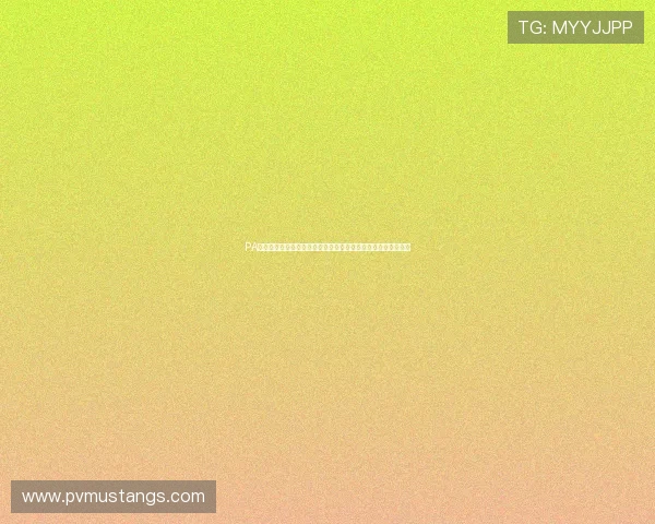 PA体育真人直播平台带你实时追踪世界杯比赛进程与精彩瞬间回放